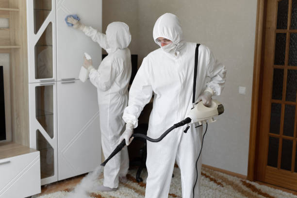 24/7 Emergency Odor Removal experts in Mountainburg, AR